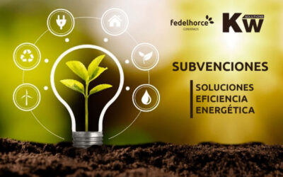 Subvenciones para Soluciones de Eficiencia Energética