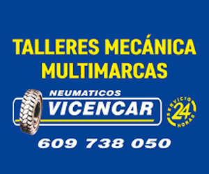Neumáticos Vicencar