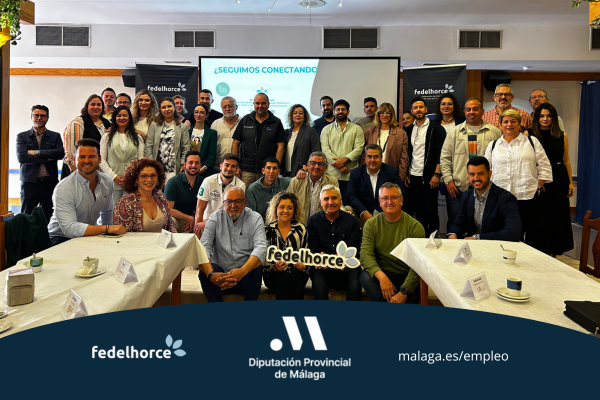 Conclusiones | Whatsapp Business